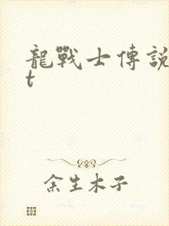 龙战士传说txt封面