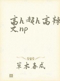 高h超h高辣h文np