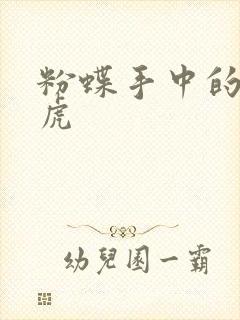 粉蝶手中的纸老虎