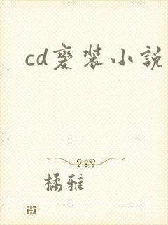 cd变装小说封面