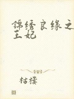 锦绣良缘之北地王妃