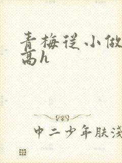 青梅从小做到大高h