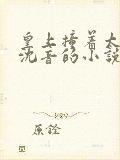 皇上撞着太子妃沈音的小说叫什么