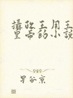 摄政王用玉髓整皇帝的小说封面