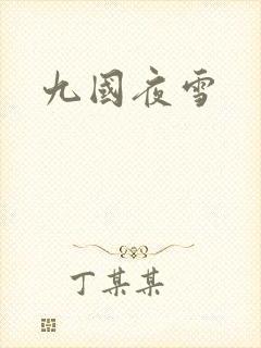 九国夜雪