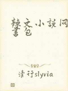 辣文小说网第二书包