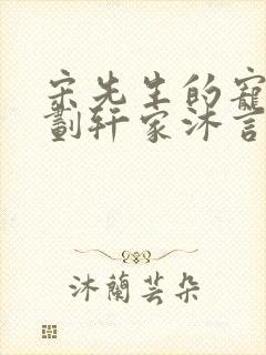 宋先生的宠妻计划轩家沐言