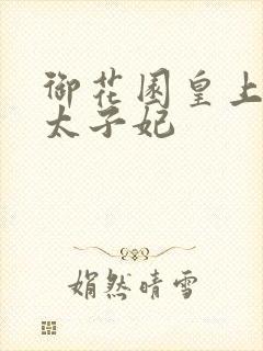 御花园皇上撞着太子妃封面