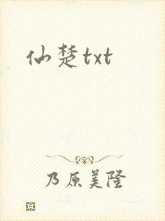 仙楚txt封面
