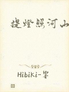 提灯照河山封面
