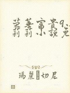 荣华富贵9小王莉莉小说免费阅读