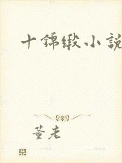 十锦缎小说封面