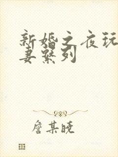 新婚之夜玩弄人妻系列封面