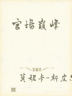 官场巅峰