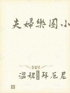 夫妇乐园小说封面