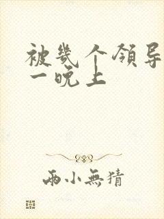 被几个领导玩弄一晚上封面