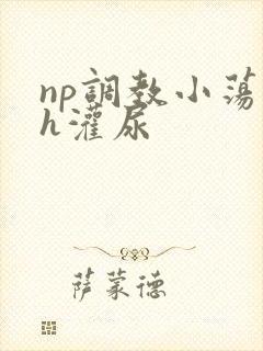 np调教小荡货h灌尿