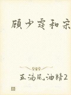 顾少霆和宋斯曼