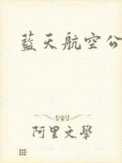 蓝天航空公司封面