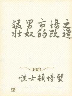 猛男市场之肌肉壮奴的改造封面