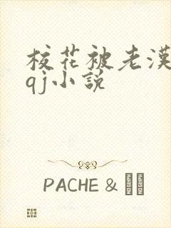 校花被老汉狂肉qj小说