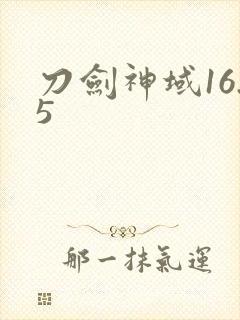 刀剑神域16.5