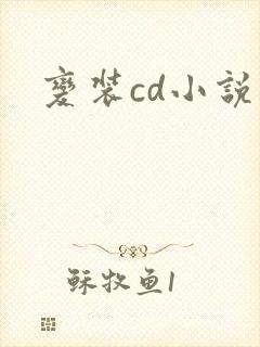 变装cd小说
