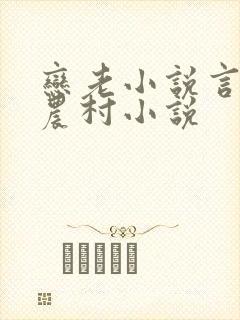 恋老小说言情网农村小说