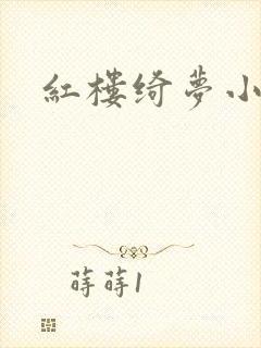 红楼绮梦小说封面