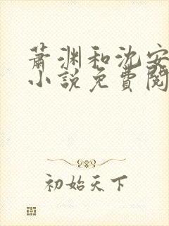 萧渊和沈安安的小说免费阅读封面