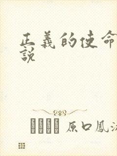 正义的使命 小说封面