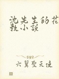 沈先生的花式管教小说