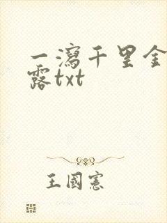 一泻千里金银花露txt