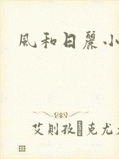 风和日丽小说