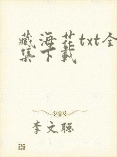 藏海花txt全集下载封面