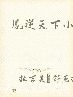 凤逆天下小说