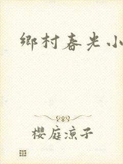 乡村春光小说