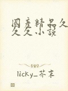 国产精品久久久久久小说