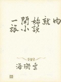 一开始就肉的军旅小说封面