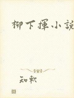 柳下挥小说封面