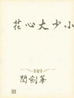 花心大少小说