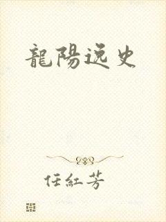 龙阳逸史