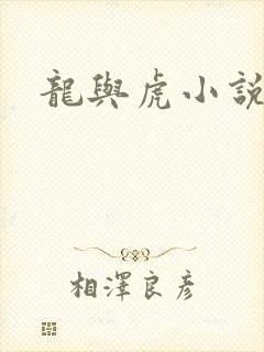龙与虎小说封面