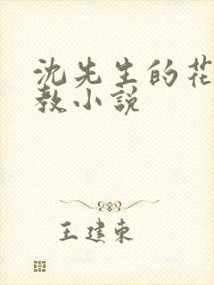 沈先生的花式调教小说封面