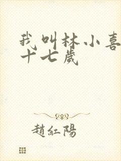 我叫林小喜今年十七岁