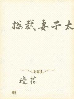 总裁妻子太诱人封面