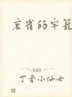 哀雀的牢笼封面