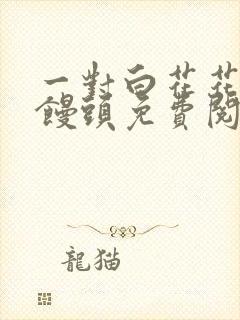 一对白花花的大馒头免费阅读