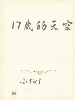 17岁的天空