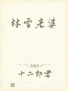 林雪老婆封面